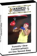 21 Combinations on the Speed Bag