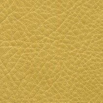 7543 CHAMPAGNE