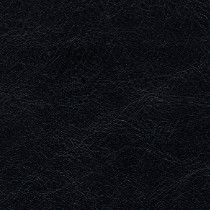 7484 EBONY